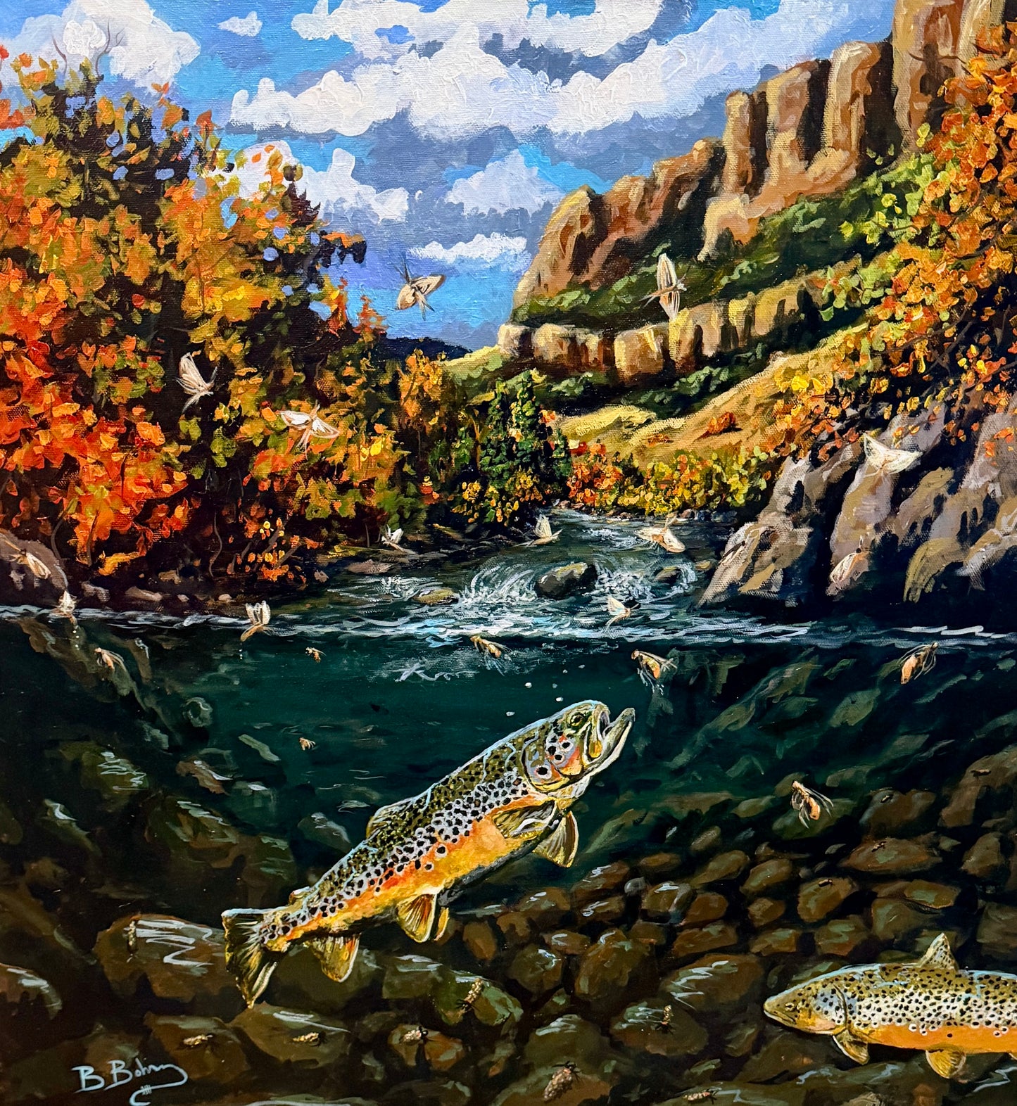 Wyoming Browns and Gold